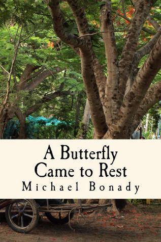 A Butterfly Came to Rest