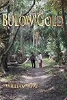 Bulow Gold (The search for Old King's Road, #1)