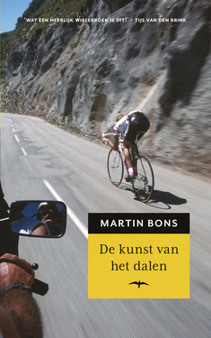 De kunst van het dalen (Paperback)