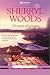 De maan als getuige (Chesapeake Shores, #6)
