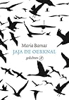 Jaja de oerknal