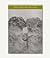 the Kenyon Review Summer 2013