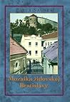 Mozaika židovskej Bratislavy