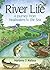 River Life, A Journey from Headwaters to the Sea
