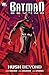 Batman Beyond: Hush Beyond