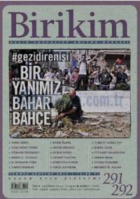 Birikim 291-292: Bir Yanımız Bahar Bahçe