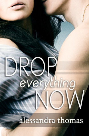 Drop Everything Now (Picturing Perfect, #3)