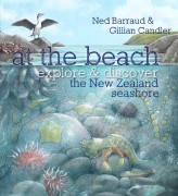 At the Beach: Explore & Discover the New Zealand Seashore (Paperback)
