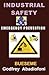 Industrial Safety and Emergency Prevention