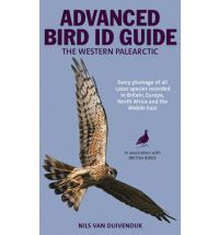 The Advanced Bird Guide: ID of Every Plumage of Every Western Palearctic Species (Paperback)