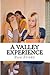A Valley Experience (Inspirational Life Experiences, #1)