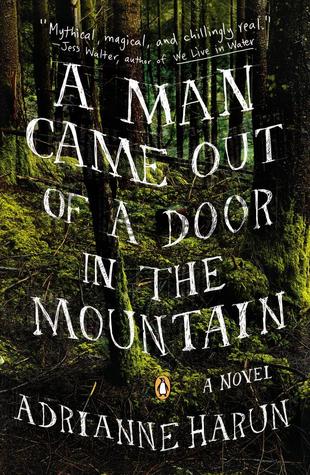 A Man Came Out of a Door in the Mountain (Paperback)