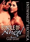 Bundle of Angel by Gia Blue