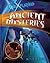 Ancient Mysteries (Unexplained. . .)
