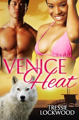 Venice Heat (Urban Heat, #2)