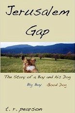 Jerusalem Gap: A Romance