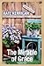 The Miracle of Grace - Keajaiban Grace by Kate Kerrigan