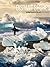 Distant Shores: Surfing The...