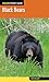 Black Bears by Jack Ballard