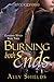 Burning Both Ends (Guardian Witch, #3)