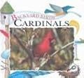 Cardinals