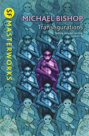 Transfigurations (Paperback)
