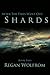 After The Fires Went Out: Shards (After the Fires Went Out, #2)