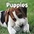 Puppies by Weldon Owen Publishing