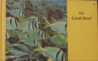 The Coral Reef