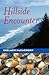 Hillside Encounter (Avalon Romance)