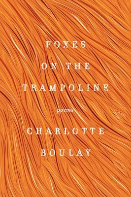 Foxes on the Trampoline: Poems (Paperback)