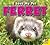 Ferret
