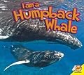 I am a Humpback Whale