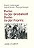 Punks in der Großstadt — Punks in der Provinz: Projektberichte aus der Jugendarbeit (German Edition)