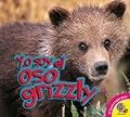 Yo soy un Oso Gris / I am a Grizzly Bear