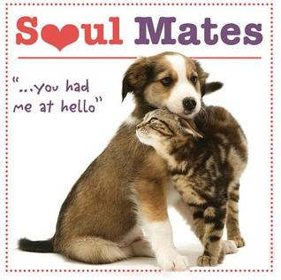 Soul Mates ...You Had Me At Hello
