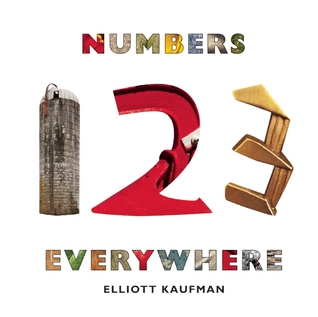 Numbers Everywhere (Hardcover)