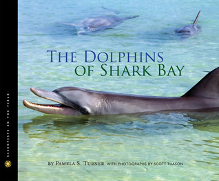The Dolphins of Shark Bay: A Real-World Science Book on Animal Intelligence and Ocean Life for Children (Ages 10-12) (Scientists in the Field)