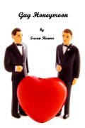 Gay Honeymoon (Kindle Edition)