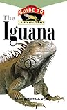 Iguana: An Owner's Guide to a Happy Healthy Pet (Your Happy Healthy Pet, 121)