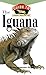 Iguana: An Owner's Guide to a Happy Healthy Pet (Your Happy Healthy Pet, 121)