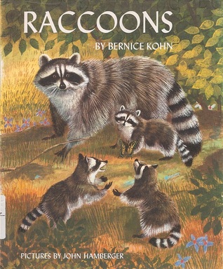 Raccoons
