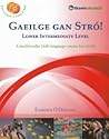 Gaeilge gan Stró! Lower Intermediate Level by Éamonn Ó Dónaill