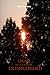 The Light That Can't Be Extinguished