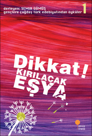 Dikkat! Kırılacak Eşya (Paperback)