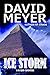 Ice Storm (Cy Reed Adventures, #2)