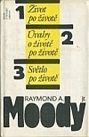 Život po životě, Úvahy o životě po životě, Světlo po životě