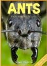 Ants: Fun Facts and Cool Pictures. Animal Photo Books for Kids