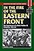 In the Fire of the Eastern Front: The Experiences of a Dutch Waffen-SS Volunteer, 1941-45