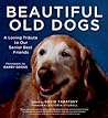 Beautiful Old Dogs: A Loving Tribute to Our Senior Best Friends